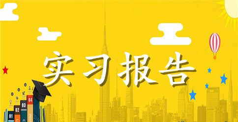 县政府办公室文秘的实习报告范文