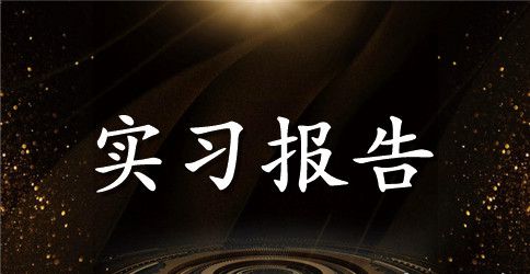 电子商务实习报告总结3000字