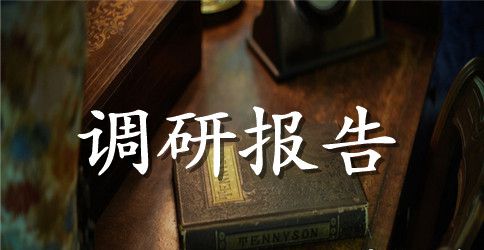 2023扶贫开发工作调研报告范文