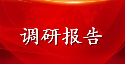 2023年精准扶贫工作调研报告范文