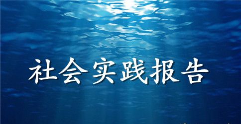 精选高中生社会实践报告1000字范文