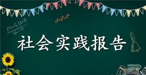 最新2023大学生暑期实习报告范文