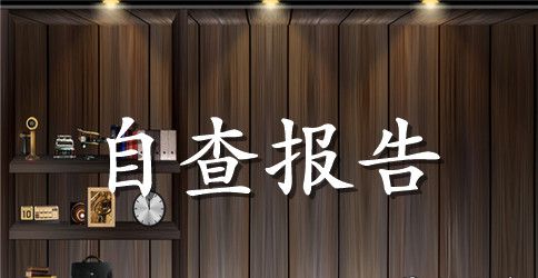 纪律教育整顿自查报告范文2023