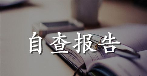 四严格一提升自查自纠小结