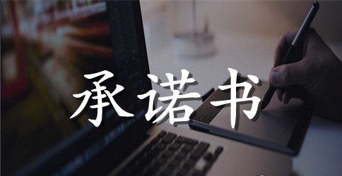 优选个人廉洁承诺书