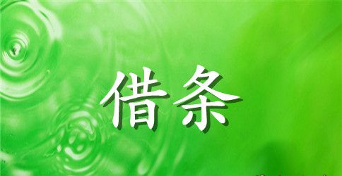 最新标准借条范本标准模板