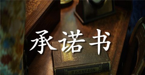 党员创先争优活动公开承诺书范文2023