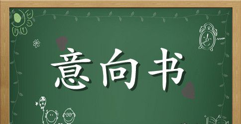 合作意向书范文