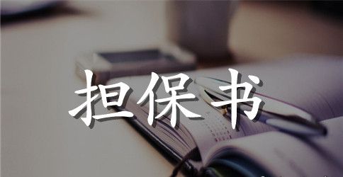 实用的质押担保合同四篇